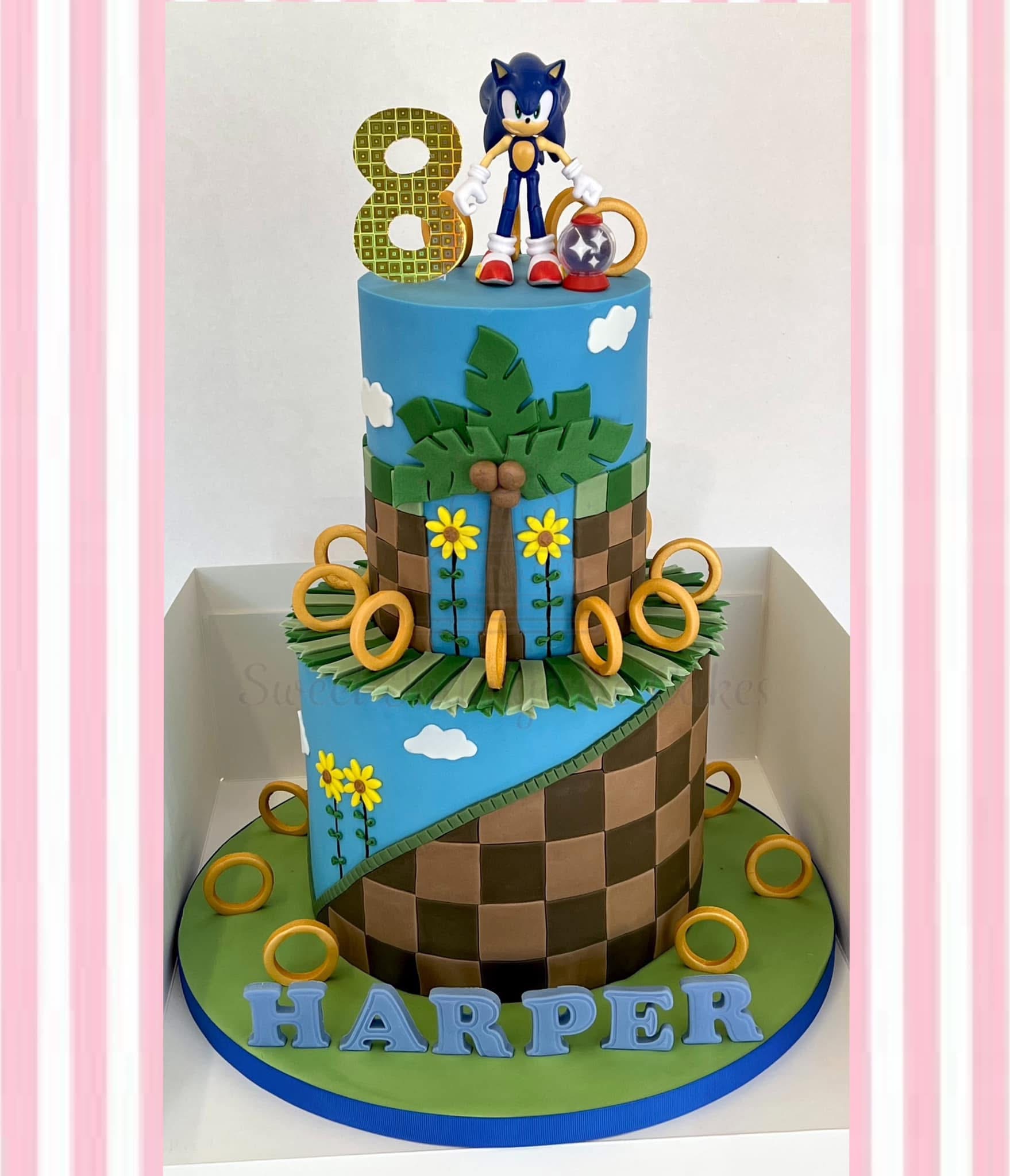 Children’s Cakes example 2 by Sweet Indulgence Cakes
